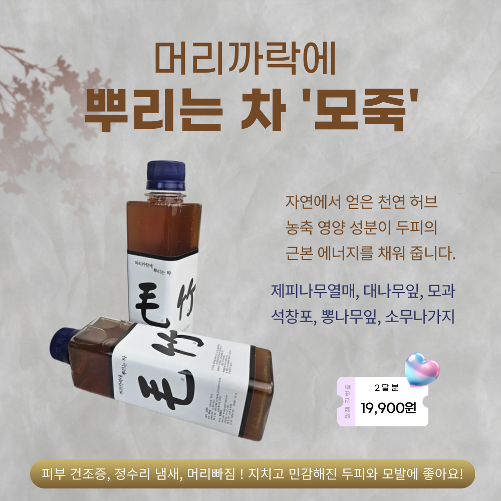 머리까락에 뿌리는 차 '모죽'